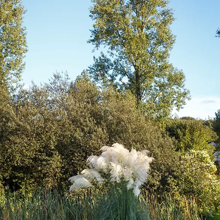 מלון Golf Course Bonn סנט אוגוסטין