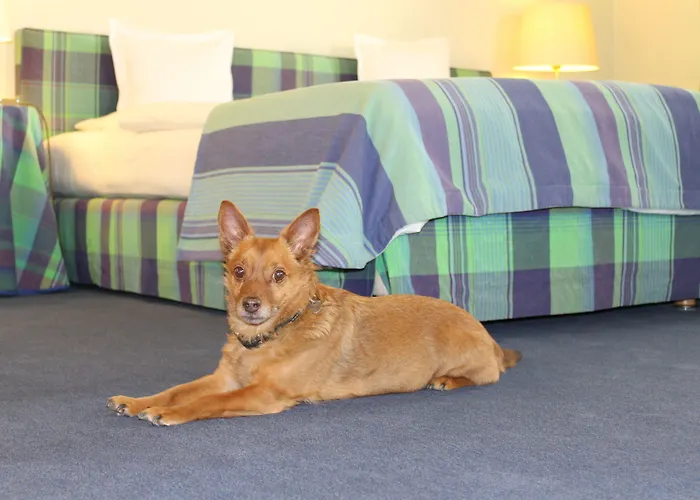 Golf Course Bonn 3* 圣奥古斯丁