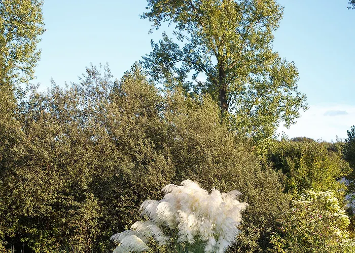 酒店 Golf Course Bonn 圣奥古斯丁